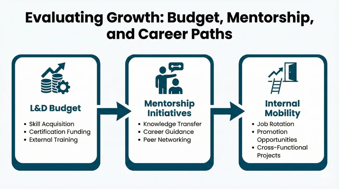 Evaluating Career Development Programs And Internal Growth Paths